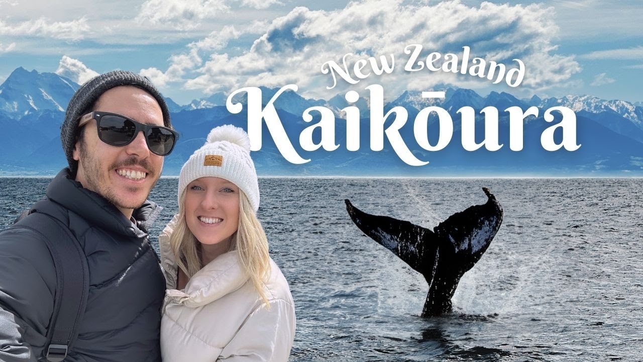 Join whale watching tour on Kaikoura cruise.