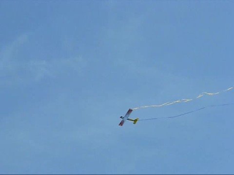 Troy Vs Rick In Trainer Combat