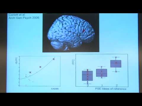 Paul Fletcher: Perception and Deception in the Psychotic Brain, Pt 4/6