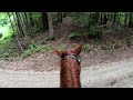 Dog Attack MHT Ride Winchester NH 6 10 2023