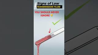Signs of Low Transmission Fluid You MUST NOT Ignore #shorts #automobile #car #mechanic