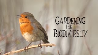 How to improve your garden for birds. Gardening for Biodiversity series.