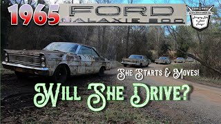 WILL SHE DRIVE? 1965 Ford Galaxie 500 Hardtop Resurrection: Revival Worthy Tribute 4 My Granddaddy!