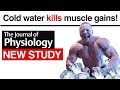 Cold Water Kills Muscle Gains - New Study!