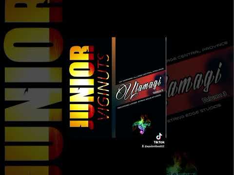 Jnr Vigi Kwaipo Tiarena