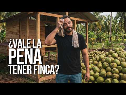 Cuánto dinero deja la finca: Primera cosecha y ventas de hoy