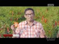 Iklan Sambal ABC 1000 Promo With Chef Bara Pattiradja