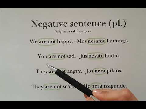 TO BE negative sentence (pl.) - Neigiamas sakinys (dgs.)