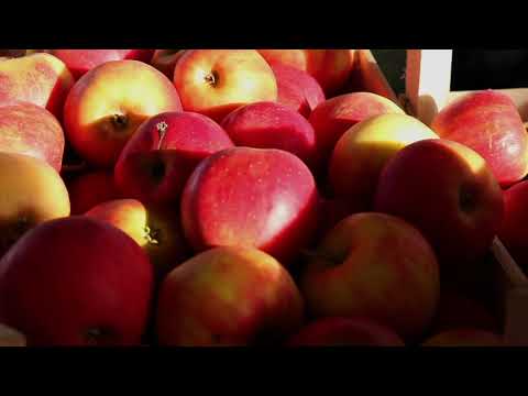 Film de présentation du Marché de la Flèche (72)  - 2019