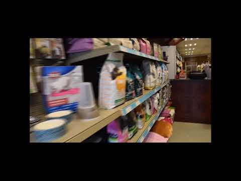 Promofilm Janet's Dierenrijk Harkema geproduceerd door Westra- Videografie ... Kootstertille