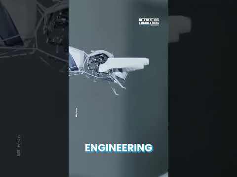 Une combinaison de plongée imprimée en 3D permet à des cafards cyborg de respirer sous l'eau pendant trois heures