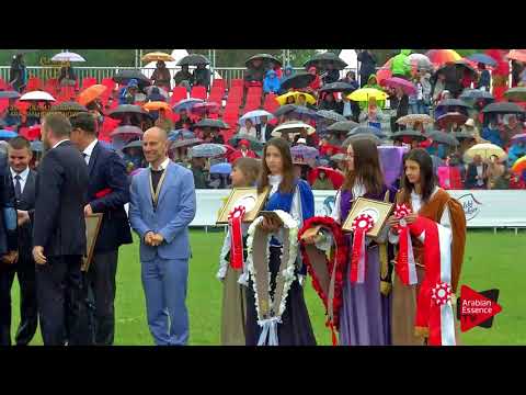 1ST PLACE N.62 PUSTYNIA KAHILA - 2017 Pride Of Poland - Senior Mares Championship (Class 13)