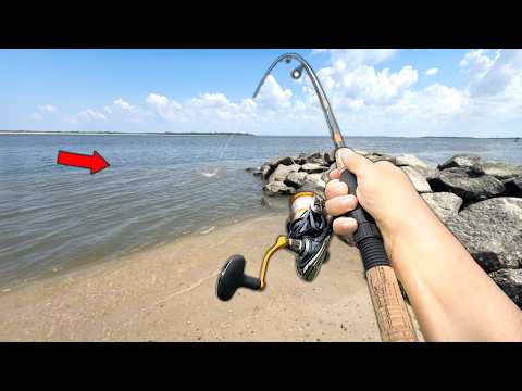 Eating Whatever I Catch.. Caught my BIGGEST! (Catch and Cook)