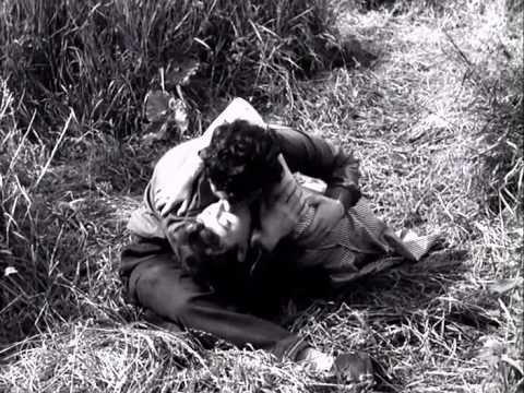 Meeuwen Sterven In De Haven Trailer