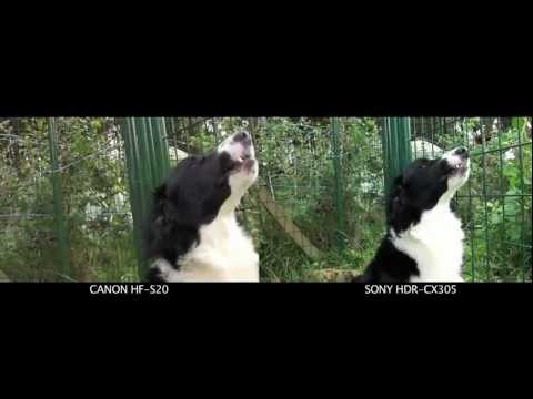 CANON VS SONY HD Cameras