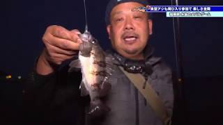 福岡県糸島でメバリング 武田栄