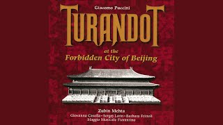 Turandot: Act Three: Scene One: Il mio mistero?