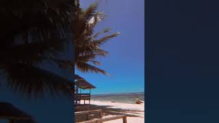 Download lagu Story WA 30 detik di pantai mp3 Download lagu Story WA 30 detik di pantai mp3