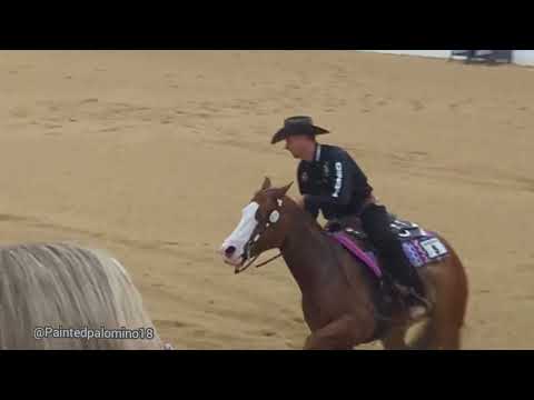 Experience the adrenaline-pumping action at the Run for a Million 2023 event!