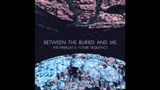 BTBAM, Silent Flight Parliament