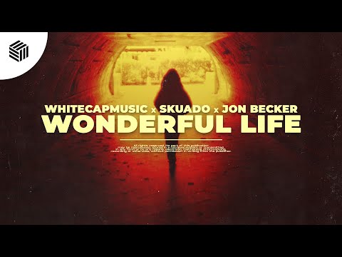 WhiteCapMusic, Skuado & Jon Becker - Wonderful Life