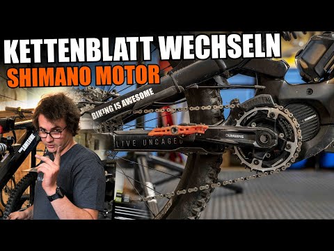 Changing the chainring on an e-bike - Shimano motor - YT DECOY complete service
