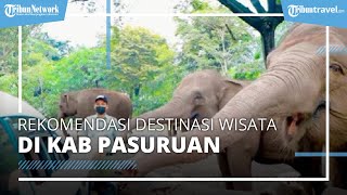 Rekomendasi Destinasi Wisata di Pasuruan, Cocok untuk Dikunjungi saat Libur Tahun Baru 2022