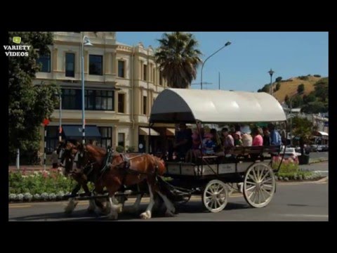 Devonport (HD) | The Best of New Zealand | Variety Videos