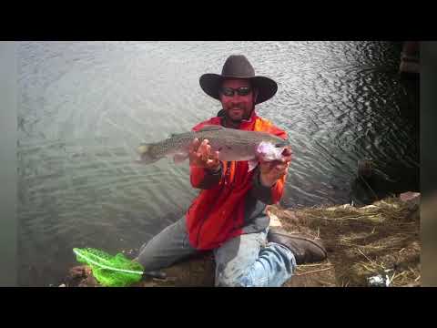 Zopho Sports Photography video.