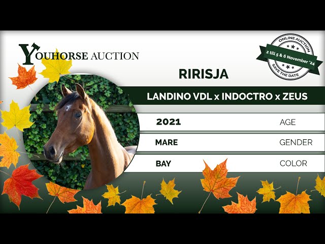 Ririsja
