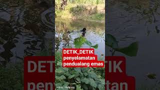 Download lagu GEGERRR MAKHLUK JADI JADIAAN DITAMBANG EMAS mp3