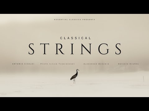 Classical Strings - Classical Music Gems