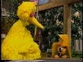 Sesame Street Monty Joins The Birdketeers