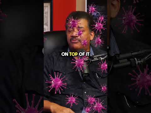 We Live In The Most Safest Times 🤯 w/ Neil deGrasse Tyson