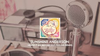 Sunshine Anderson - Heard It All Before (Gut Feeling Remix) video