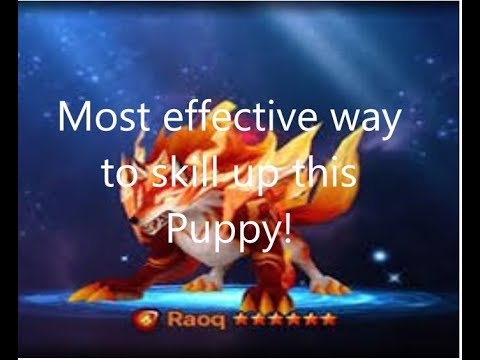 Most effective way to skill up second awakened inugamis! No devilmons