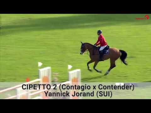 Contagio von Colman Lordanos CMH