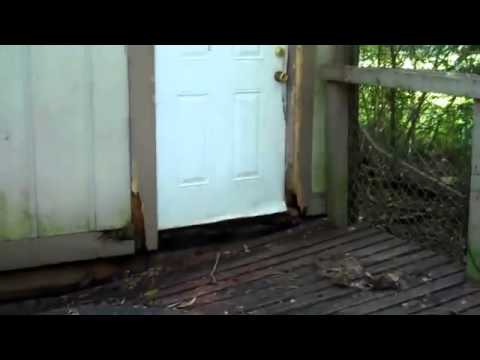 Budget Car Rental Jackson Ms Find The Business