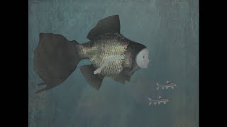 Amelie McCandless - Foreign Waters (Official Video)