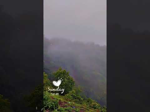 Sunday early morning and whether 🌻 #baadalzarurihai 😂 #shortvideo