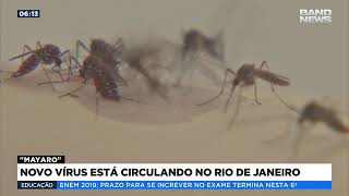 Miniatura do vídeo