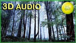 Dormir rpido com SOM DE CHUVA na Floresta |8H TELA PRETA | Rain sounds for sleeping 8H BLACK SCREEN