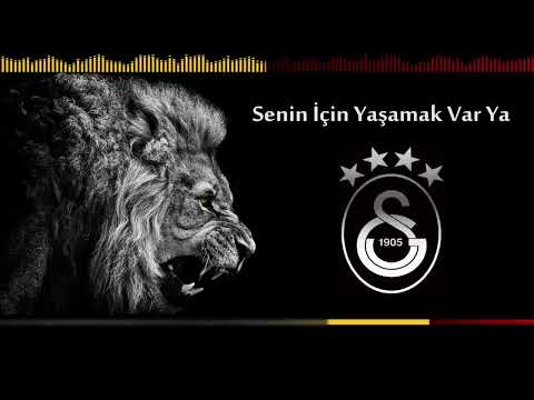 galatasaray senin için yaşamak var ya