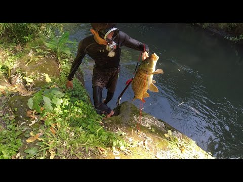 SE03EP064 - Ang PAIT ng PAG HIHIGANTI ng API - Catch & Cook | San Pablo City, Laguna