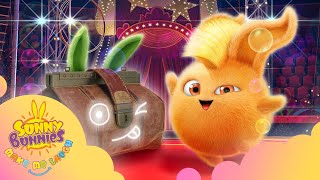 Download lagu NEW Sunny Bunnies Make Me Laugh - MAGICIAN'S CASE | SEASON 1 | Kids Cartoons mp3