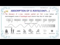 X ray absorption spectroscopy pdf