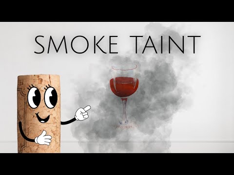 Smoke Taint | Ep 2 thumbnail