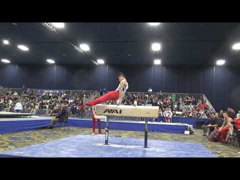 Asher Hong - Pommel Horse - 2020 Winter Cup Finals