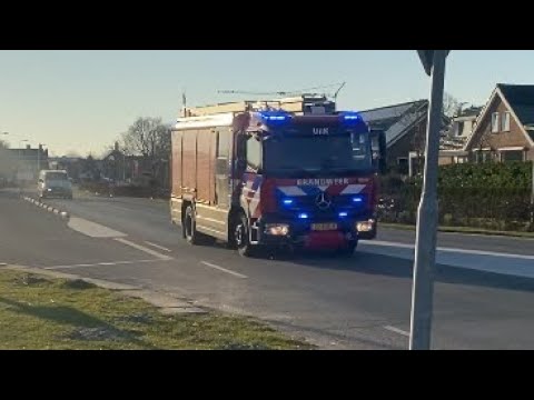 P1 Br Riet ( Uitbreiding: Hoog ) RoggeBot Urk 25-6531