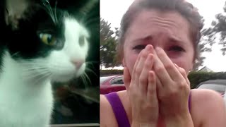 Girlfriend Surprised with Kitty of Her Dreams!
